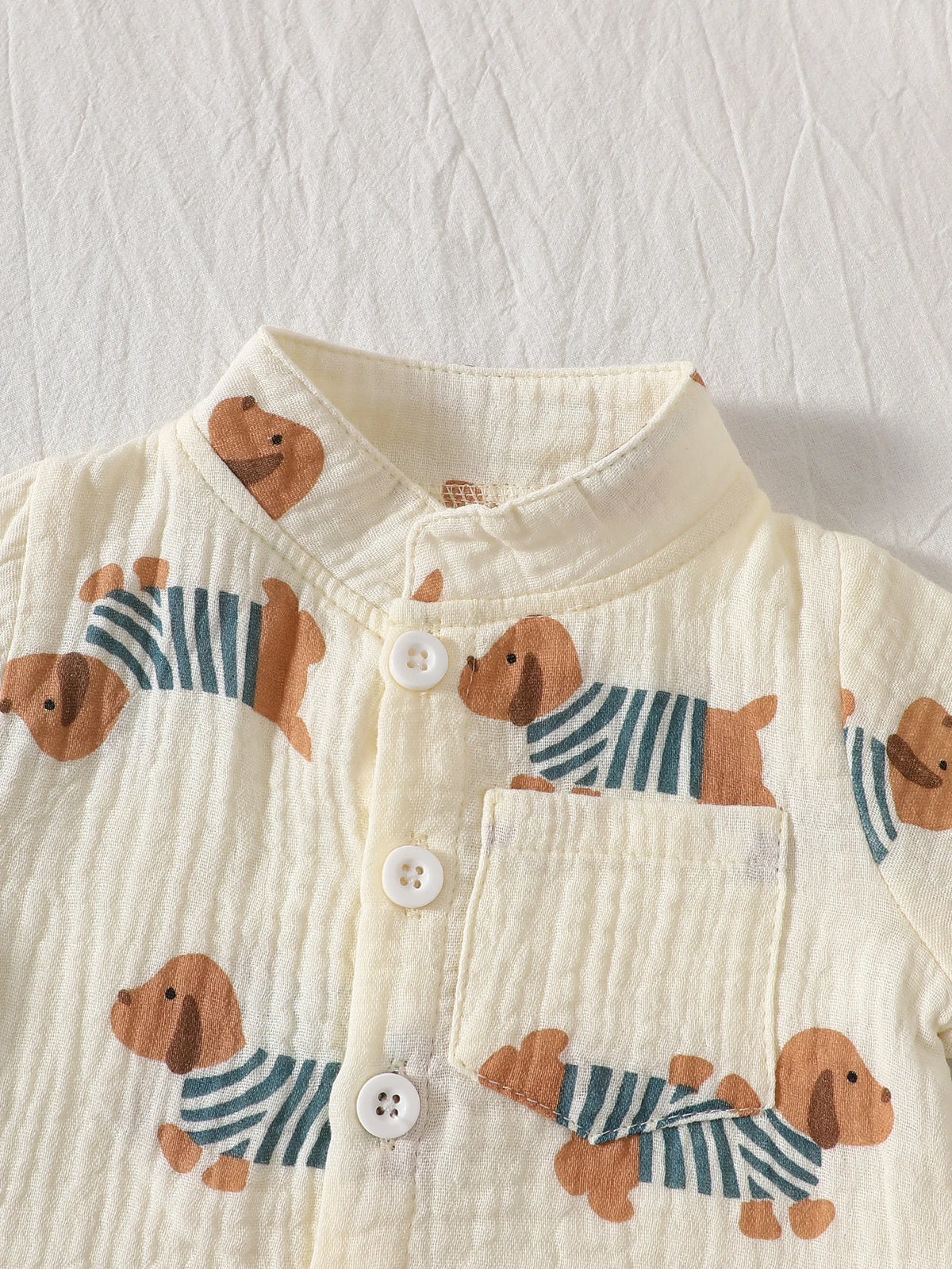Little Gentleman Shirt & Shorts Set